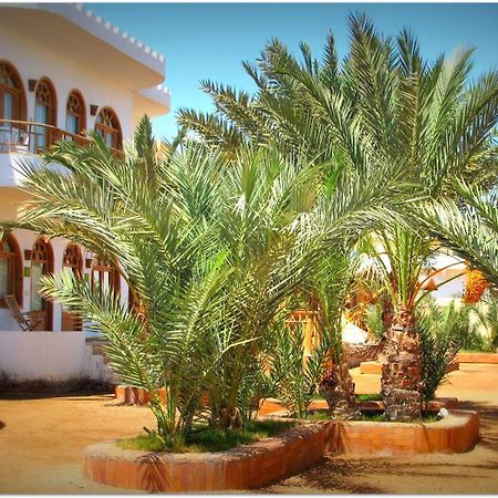 Shams Hotel & Dive Centre Dahab Exterior foto